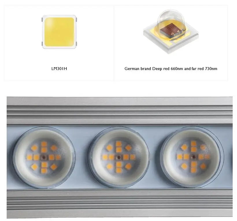 コレイ 900W 室内用フルスペクトル植物育成ライト LED - Led Strip Lights のレビューと価格